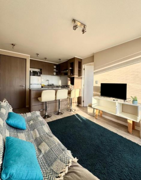 Arriendo Viña Del Mar Alto
